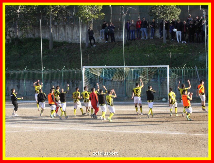 190310 Cephal_Torrenov 221_tn.jpg